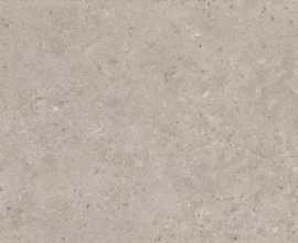Керамогранит Kerama Marazzi SG540620R Риккарди бежевый матовый обрезной 60х119,5