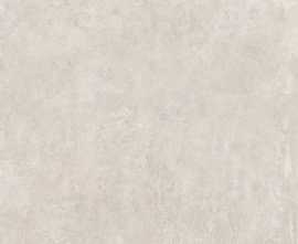 Плитка Kerama Marazzi 4602 Геркуланум серый светлый 50.2x50.2