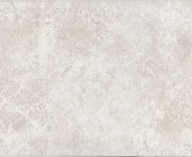 Kerama Marazzi OS/A294/7240 Декор Каннареджо бежевый светлый матовый 20x50x0,8