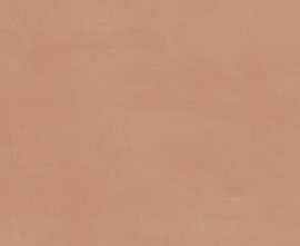 Плитка Kerama Marazzi 7254 Каннареджо оранжевый матовый 20x50x0,8