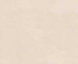 Плитка Kerama Marazzi 7245 Каннареджо бежевый матовый 20x50x0,8