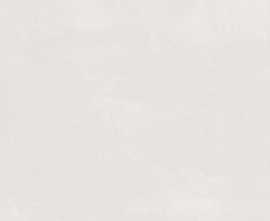 Плитка Kerama Marazzi 7240 Каннареджо бежевый светлый матовый 20x50x0,8