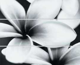 Панно Mei UG2U093D Universal Glass Flowers 75x75