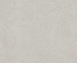Плитка Kerama Marazzi 14043R Монсеррат серый светлый матовый обрезной 40х120