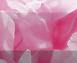 Laparet Бордюр рельефный Peony br1020D281-1 20х10