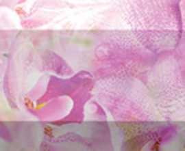 Laparet Бордюр рельефный Impression br1020D190-2 20х10