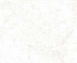 Плитка Alma Ceramica TWU09TVS014 рельефная Trevis 249*500*85