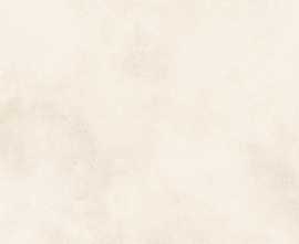 Плитка Alma Ceramica TWU09RCD004 Richard 24.9x50