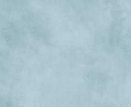 Плитка Alma Ceramica TWU09RCD606 Richard 24.9x50
