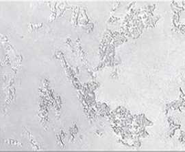 Плитка Azori 503241101 Sfumato Grey 20.1x50.5