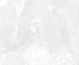 Керамогранит Ecoceramic EC.Calacatta Eternal white 017 Mt 60x120
