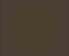 Плитка Tubadzin Pastel Brzowy Mat 20x20