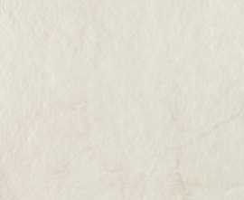 Керамогранит Tubadzin P-Organic Matt white STR 59,8x59,8