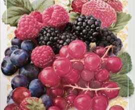 Панно Monopole Decorado Multi Frutti Pano 30x30