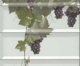 Панно Monopole Panno Tempranillo Blanco 40x30