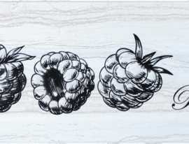 Декор Monopole Decor Fruit Laguna Raspberry 10x30