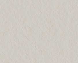 Керамогранит 41ZERO42 4101001 Superclassica SCB Flamed R10 60x120