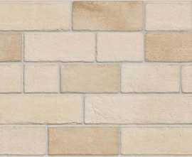 Плитка VIVES Marlon Beige 20*50