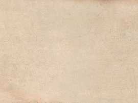 Плитка VIVES Kent Beige 25x75