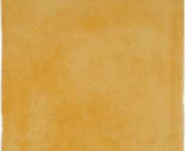 Плитка VIVES Aranjuez Ocre g.154 20x20