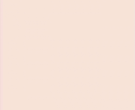 Плитка VIVES Salmon Mate 20x20