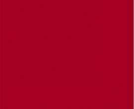 Плитка VIVES Rojo Volcan g.148 20x20