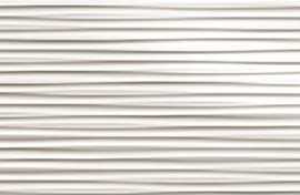 Плитка FAP Ceramiche fREO Lumina Line White Gloss 25x75