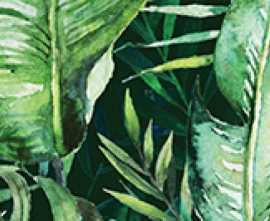 Декор Ceramica Konskie Braga Tropic B Rect 25x75