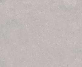 Керамогранит Porcelanosa 100330193 Coral Acero L 120x120