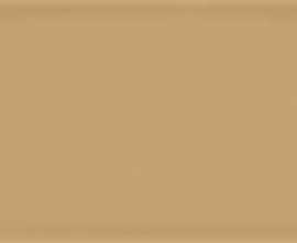 Плитка VIVES Corso Caramelo 10X20
