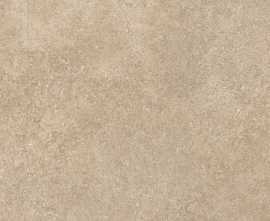 Керамогранит Baldocer Ozone Taupe 59*59