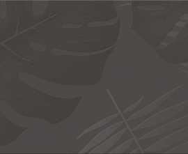 Coliseumgres 600080000433 Лайфстайл Мока Вставка джангл 25x75