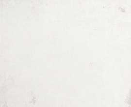Керамогранит Porcelanosa 100311050 Steel Bone 59,6x59,6