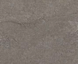 Керамогранит Porcelanosa 100310717 Hannover Silver 120x120