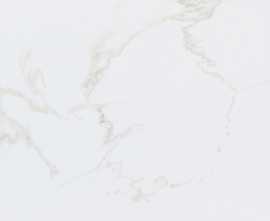 Керамогранит Porcelanosa P1856999 Persia S-R 59,6x59,6