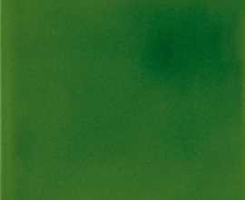 Плитка Aleluia Ceramicas A6200 ATELIER Bosque 10х10