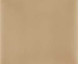 Плитка Aleluia Ceramicas A5500 ATELIER Camurca 10х10