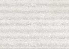 Плитка Ibero Elevation White Rect BIS B-100 29x100