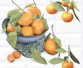 Панно Azori 583012024 Панно Vogue Citrus 2 40.2х40.5