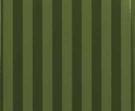 Плитка Ape NOBLESSE VERDE BOTELLA 20*20