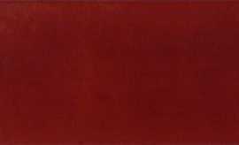 Плитка Absolut Keramika ABS1199 Frambuesa Milano Brillo 10x30