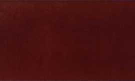 Плитка Absolut Keramika ABS1195 Granate Milano Brillo 10x30