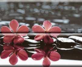 Панно Absolut Keramika Composicion Wellness 02 Red 30x45 (комплект 2шт)
