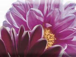 Декор Absolut Keramika Decor Flowers 02 15x45