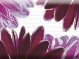 Декор Absolut Keramika Decor Flowers 01 15x45