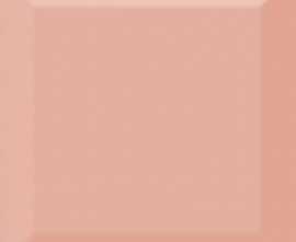 Плитка Absolut Keramika Biselado Brillo Coral 10x10