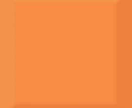 Плитка Absolut Keramika Biselado Brillo Naranja 10x10
