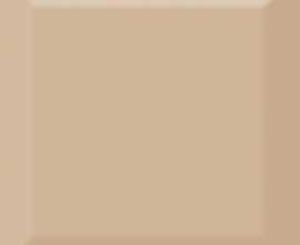 Плитка Absolut Keramika Biselado Brillo Beige 10x10