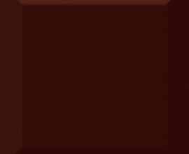 Плитка Absolut Keramika Monocolor Marron Biselado Brillo 10x10