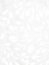 Декор Creto Memoirs White 01 25х60